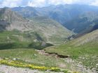 61 Col de la Bonette 