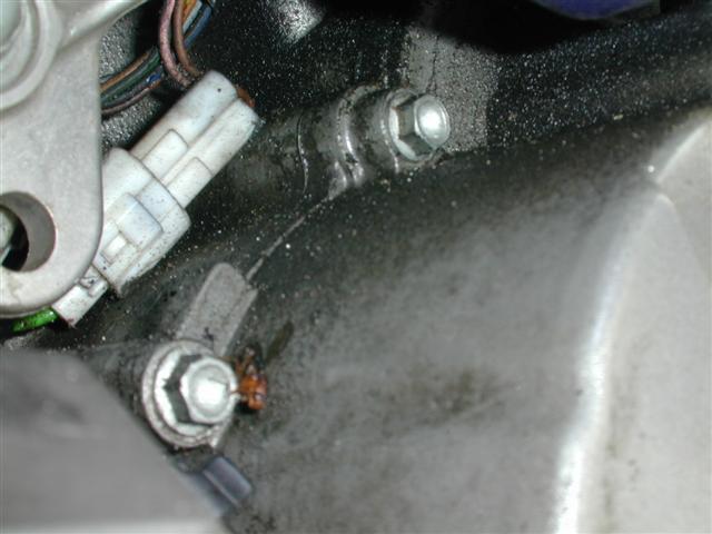 Olie-lekkage-06 (Small).JPG