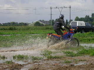 SANY0719.jpg