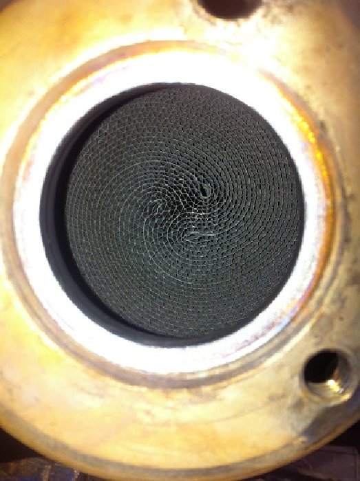14102012 086 cat web.jpg