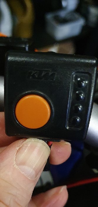 foto2.jpg