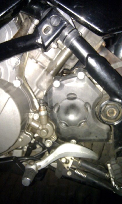 IMAG0013 (Medium).jpg