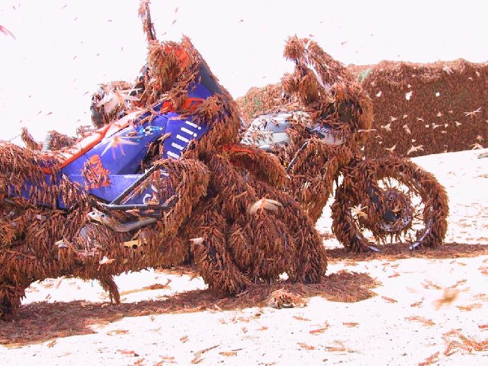 ktm lovers.jpg