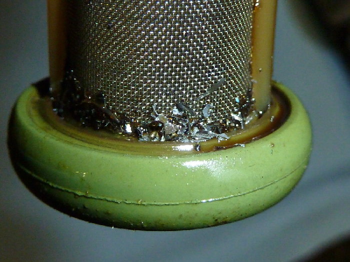 P1010865(3).JPG
