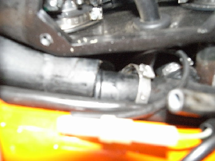 RIMG0002.JPG